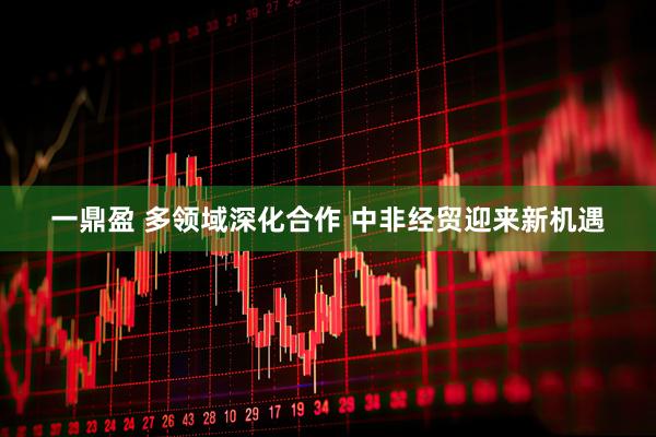 一鼎盈 多领域深化合作 中非经贸迎来新机遇