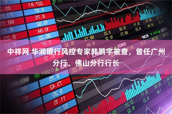 中祥网 华润银行风控专家韩鹏宇被查，曾任广州分行、佛山分行行长