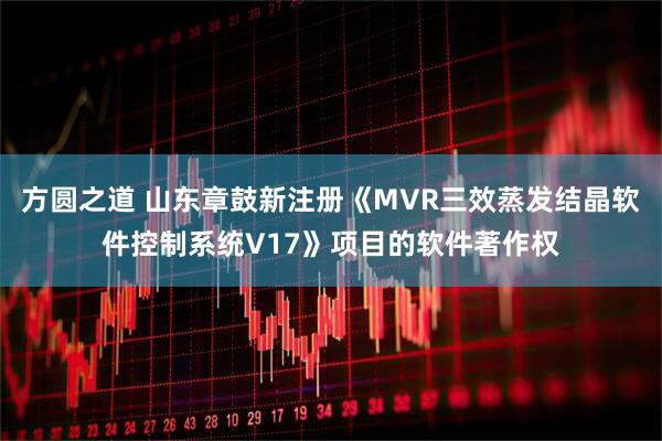 方圆之道 山东章鼓新注册《MVR三效蒸发结晶软件控制系统V17》项目的软件著作权