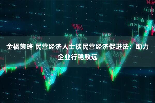 金橘策略 民营经济人士谈民营经济促进法：助力企业行稳致远