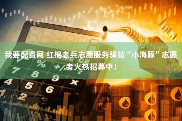 我要配资网 红棉老兵志愿服务驿站“小海豚”志愿者火热招募中！